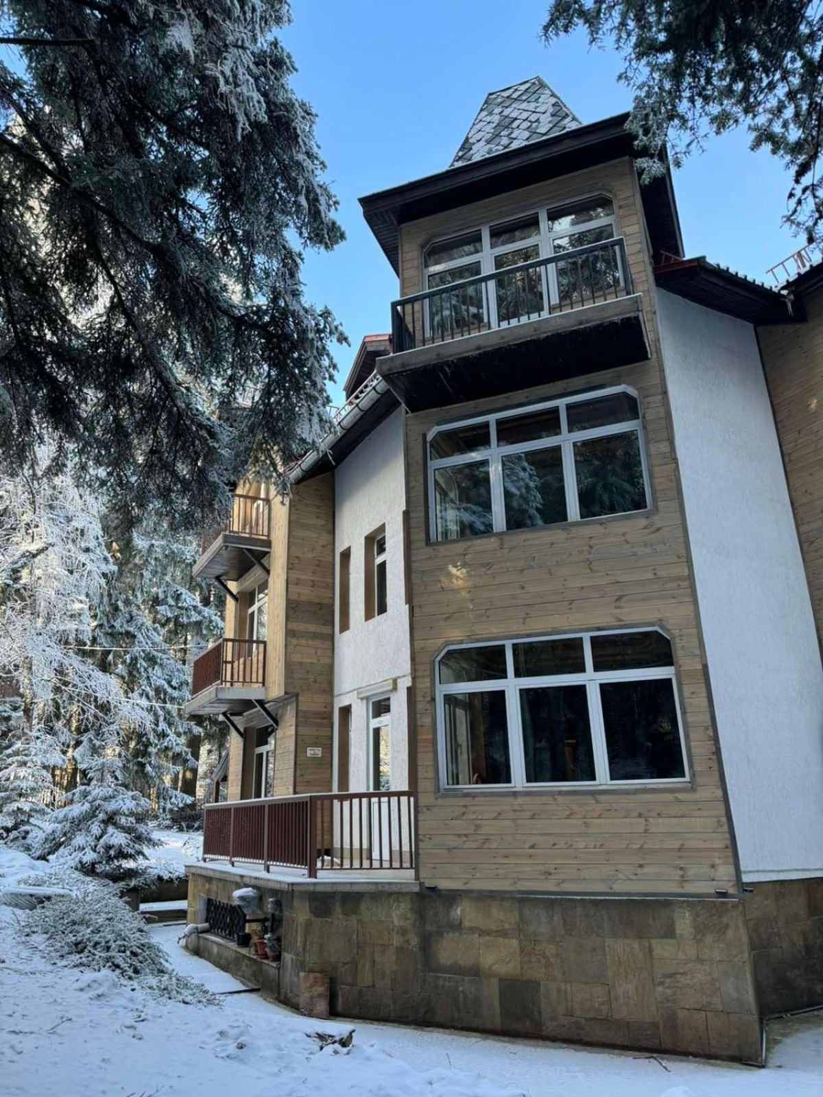 The Forest Villa Borovets Exterior photo