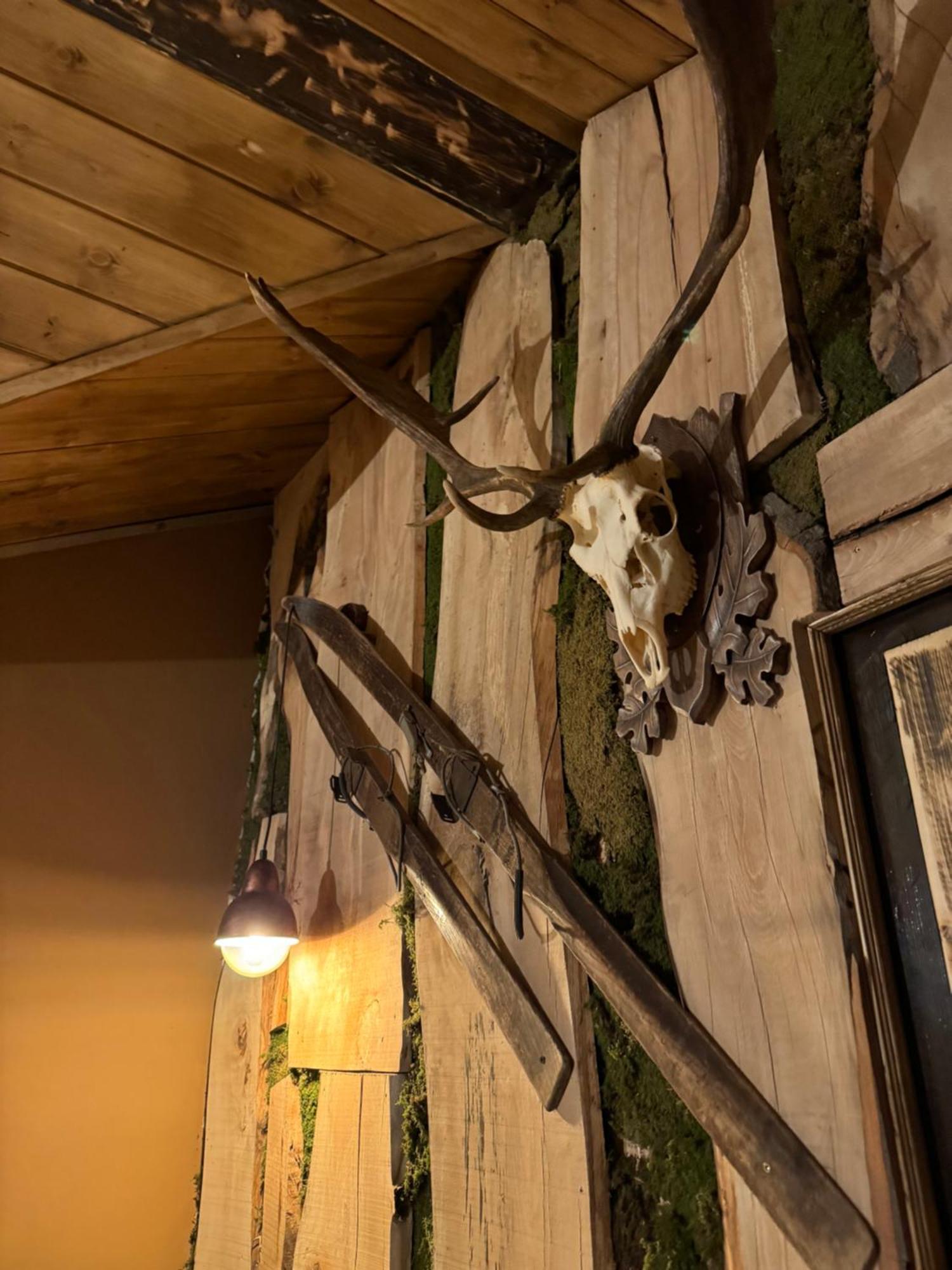 The Forest Villa Borovets Exterior photo