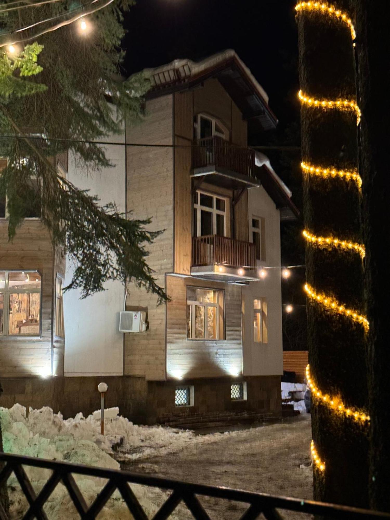 The Forest Villa Borovets Exterior photo