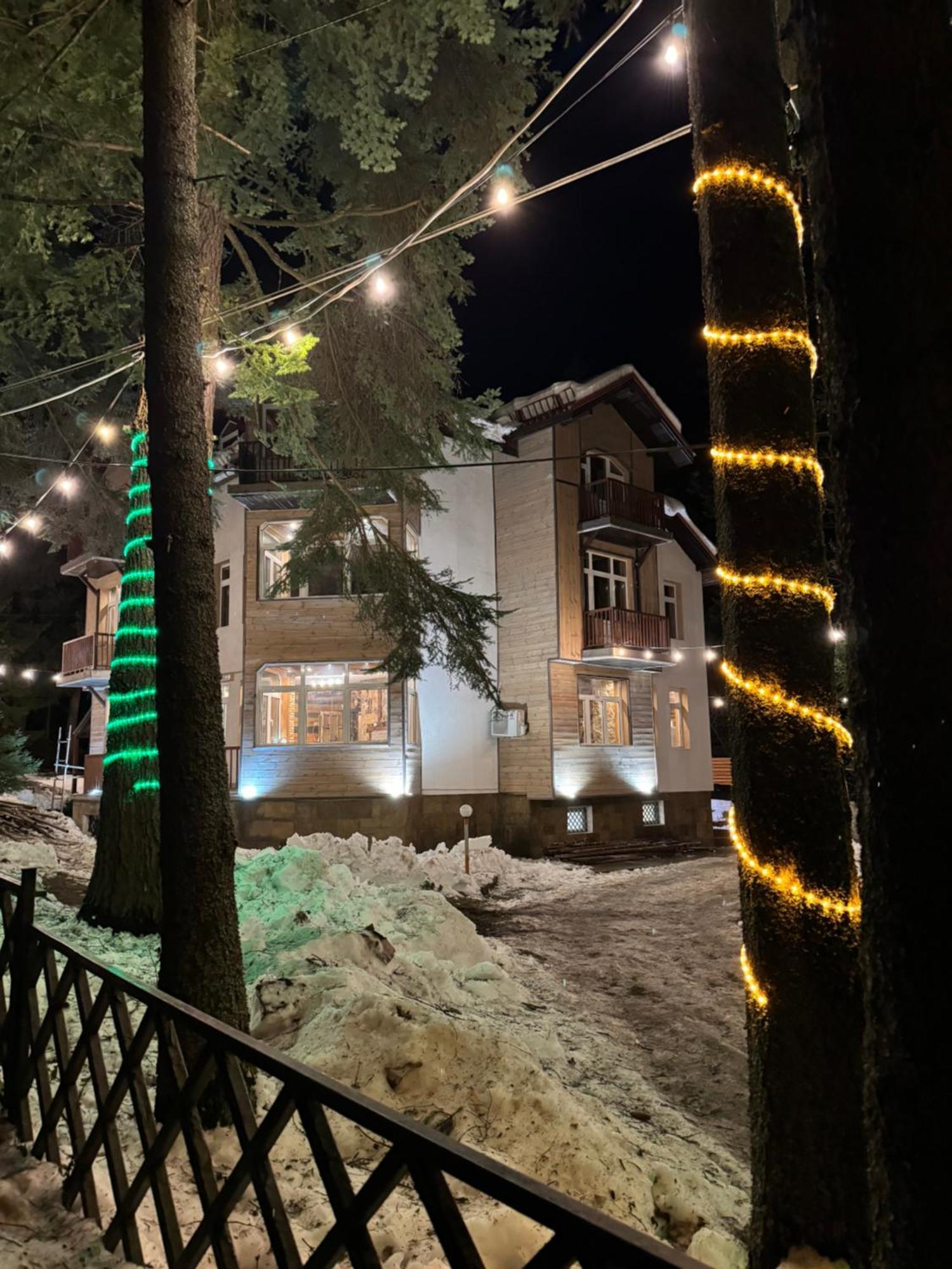 The Forest Villa Borovets Exterior photo
