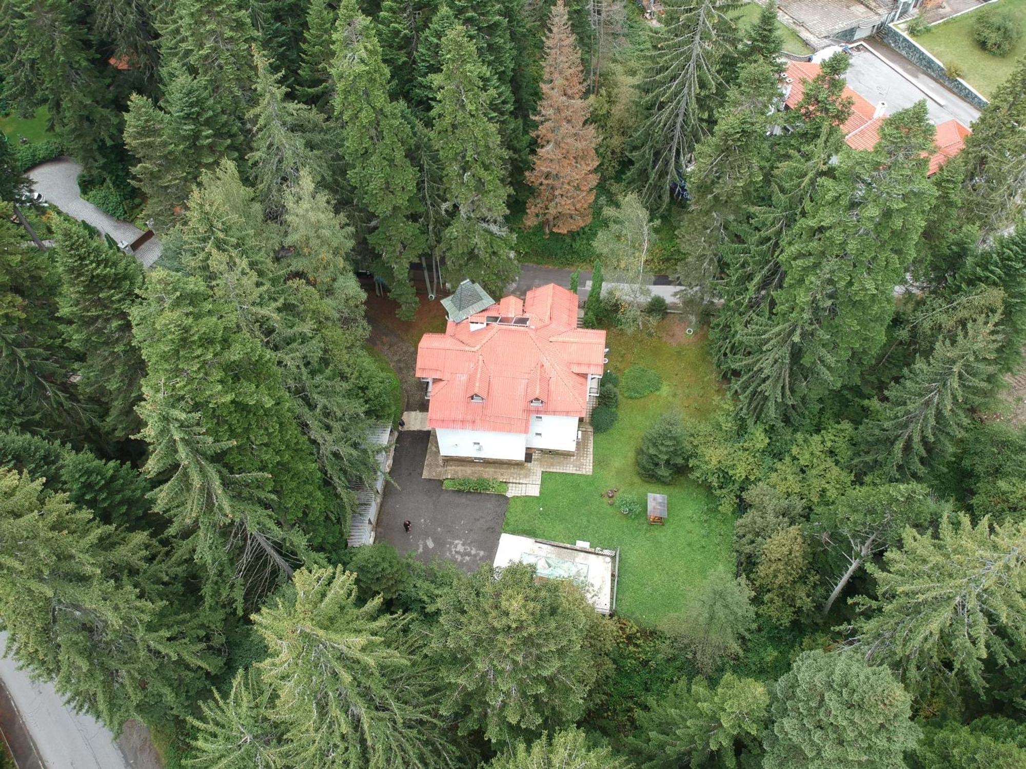 The Forest Villa Borovets Exterior photo